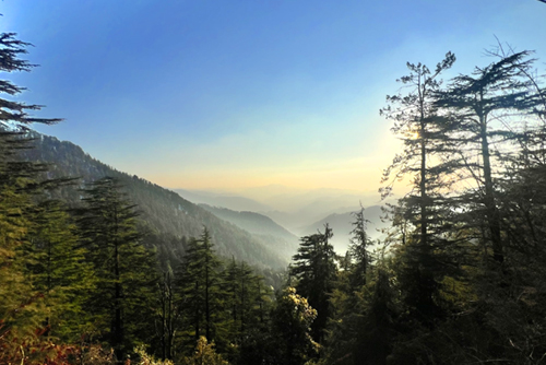 Shimla – Manali Tour